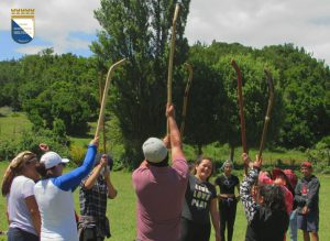 Huapi